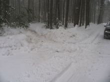 fun in the snow