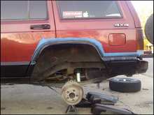 rears cut and folded