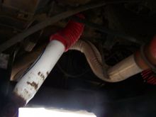 Rear shocks on