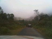 IMG01229 20110604 1628