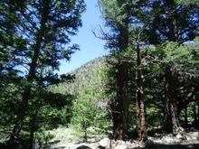 CIMG0792
