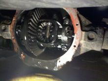 New diff getting a diaper change.