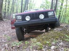 stock flex with no bars