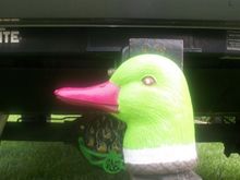 Like my duckie?