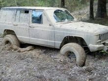 Opps this took a Track Hoe. Wasn't wheeling going to look for a new place for a deer stand