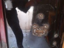 IMAG0553C