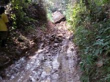IMG 20140211 WA008