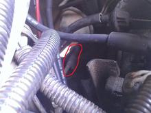 Pipe is on trans case.