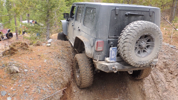 Wild Bill- 3/21/15