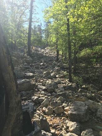 Lots of trails like this at HS. It one of the reasons this place is hard t get old as the trails constantly  change and the lines will never be the same.