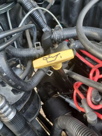 Engine oil dipstick handle.