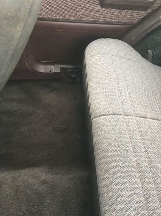 new carpet