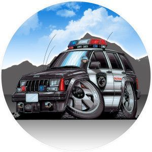 koolart wheel cover.