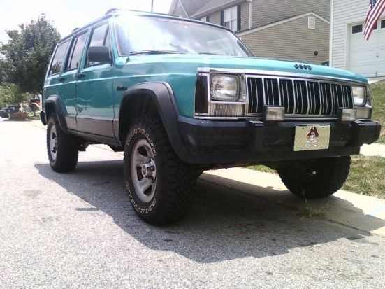 stock height