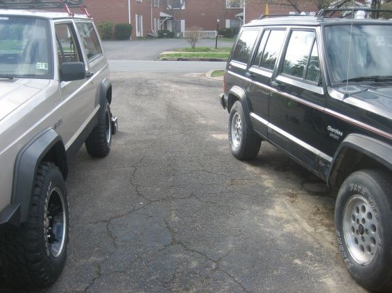 HM black or tan which one is better