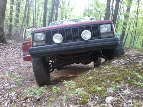 stock flex with no bars