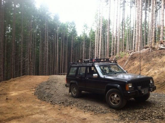 Playing on an old logging skidder track. it levels out for a landing here, but back down behind me it gets pretty steep. it was fun to play on