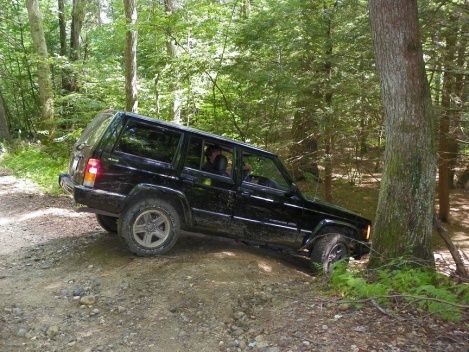 lets not scrape the bottom now!