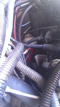 Pipe is on trans case.