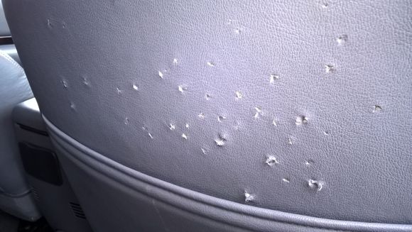Back of the seat.