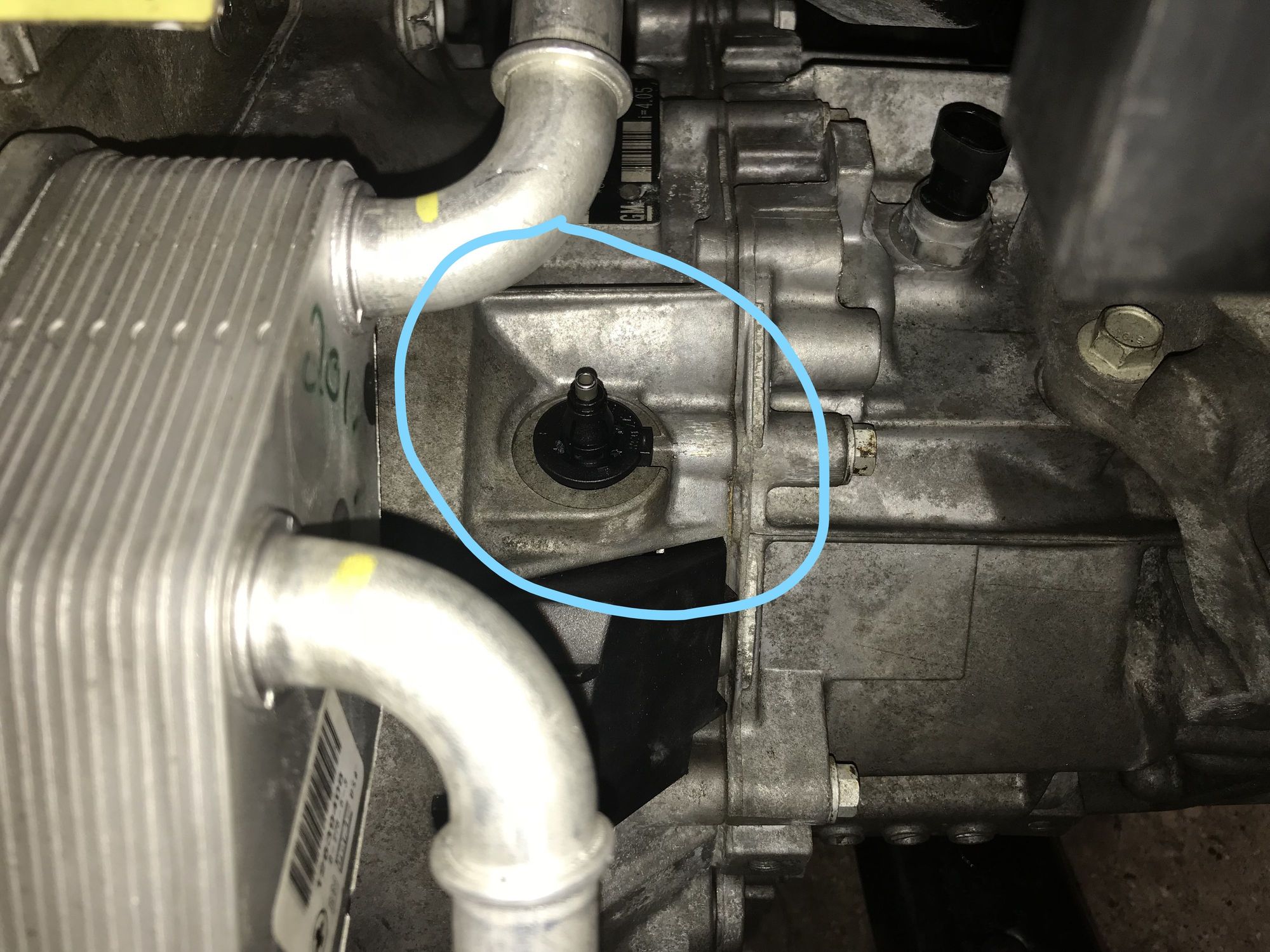 Elly Clutch Leak: Is This The Biggest Lie Ever? - cb6e4ar