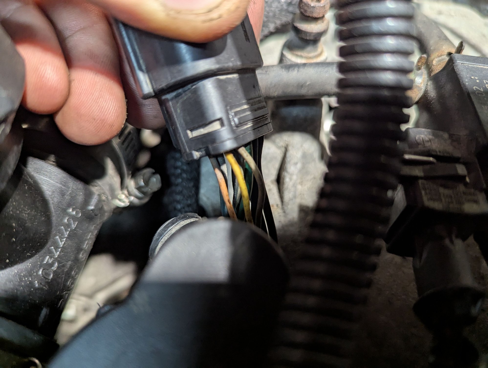 Peach yellow and gray wire from from 12 pin connecter to fuel rail plug