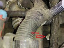 Down there by the red arrow