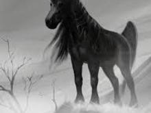 Sometimes , there in the mist, you think you see one, but alas , it was just my imagination! Smokey Robinson and the Miracles