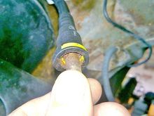 That’s the flex vinyl pipe that goes to the fuel pump