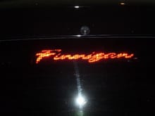 Finnigan11