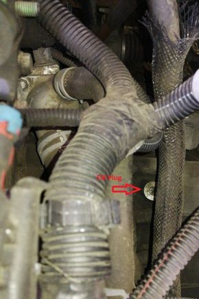 Down there by the red arrow