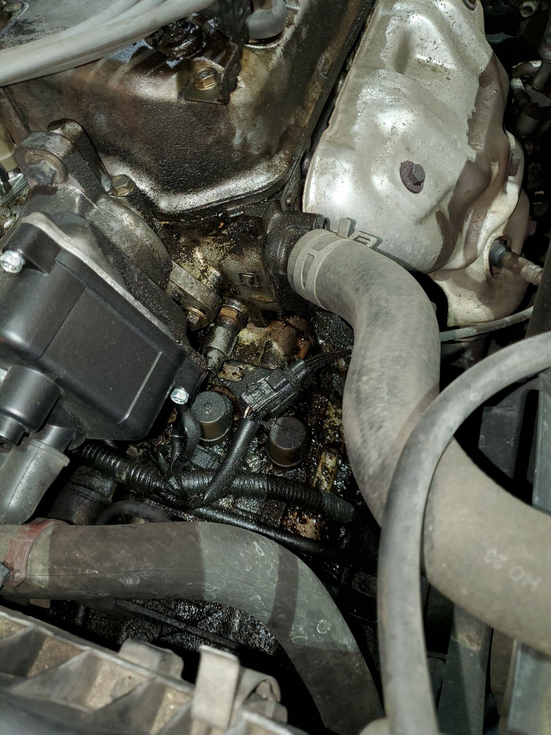 Oil leak on an unknown valve - Honda Civic Forum