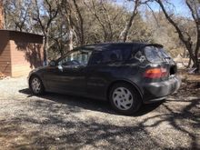 Just before it died…