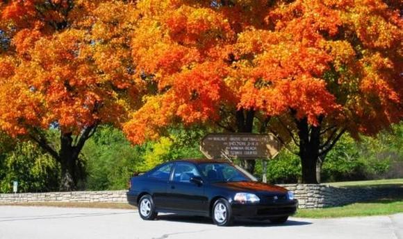 1997 Honda Civic EX 'Putt Putt'