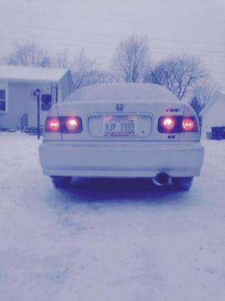 Snowy Rear End