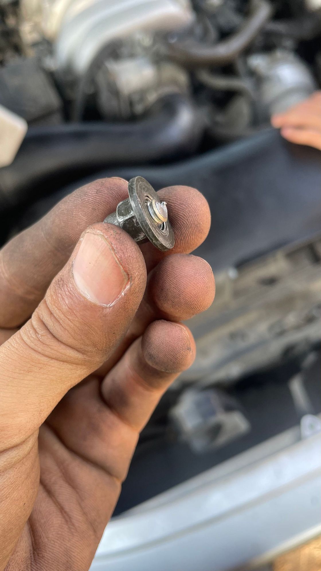 Help! Ls430 engine cover! ClubLexus Lexus Forum Discussion