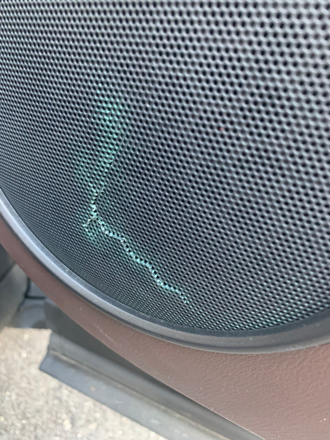 cracked door speaker cover (mesh) repair options? ClubLexus Lexus