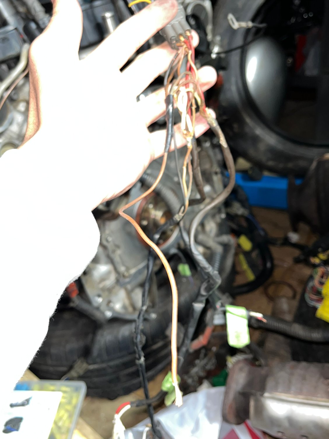 1uz Wiring for distributors and crank sensor ClubLexus Lexus Forum
