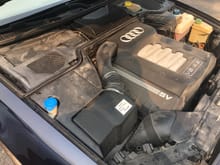The legendary Audi V8. Easy to work on, very reliable, and decently powerful with long legs.....the RS6 engine fits in here as well as a manual trans option....

I think you guys can tell why I wanted to buy this myself lol! 