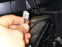 Stand alone grey connector not connected to PX3 harness