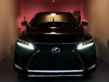 2020 Lexus RX 350 F-Sport in Obsidian (Current Daily)