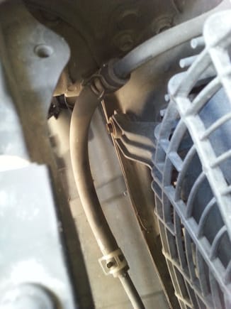 2nd segment of rubber hose is below electric cooling fan....the hose was in good condition but replaced it anyway.