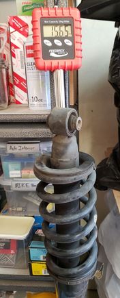 OEM Rear shock/spring assembly weighs just over 15.5lbs.  