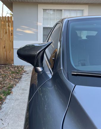 Added Side Mirror Covers Close up.
