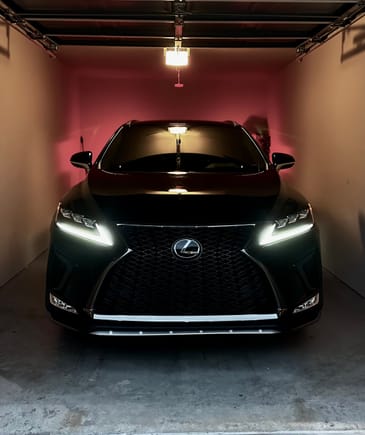 2020 Lexus RX 350 F-Sport in Obsidian (Current Daily)