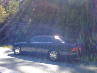 Pulled over on the side of the road Northern California,,  jus came out from the spectacular drive thru the Giant Redwoods National Forest