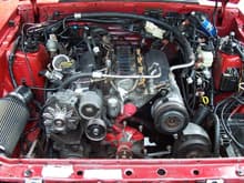 Mustang head gasket repair 125