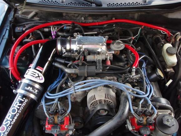 My old 4.6 2v with Zex nitrous, JLT CAI, Accufab 75mm TB/Plenum, PI cams and PI Intake.