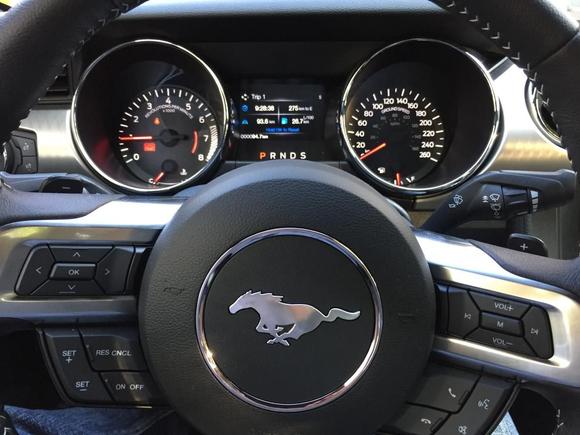 Dashboard and steering wheel at daylight (notice paddle shifters)