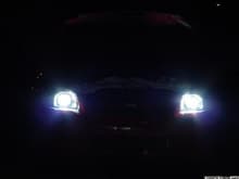 HID16